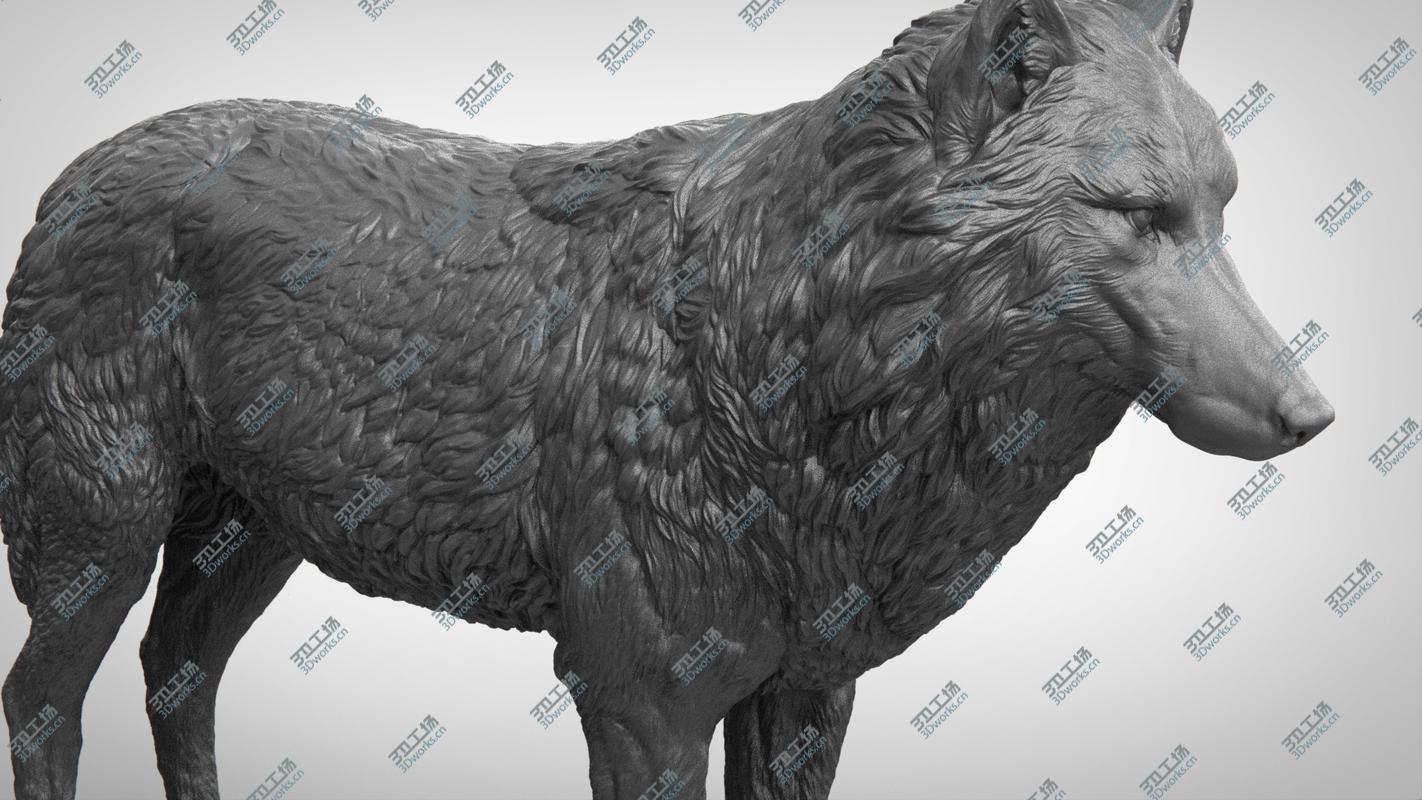 images/goods_img/2021040165/Wolf 3D model/5.jpg